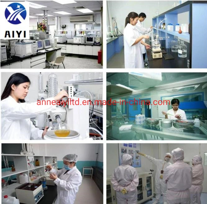 Chinese Factory Supply Creatinine Powder CAS 60-27-5 Creatinine