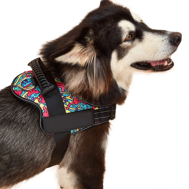 Dog Supply Manufacturer Customization Luxury Pet Harness