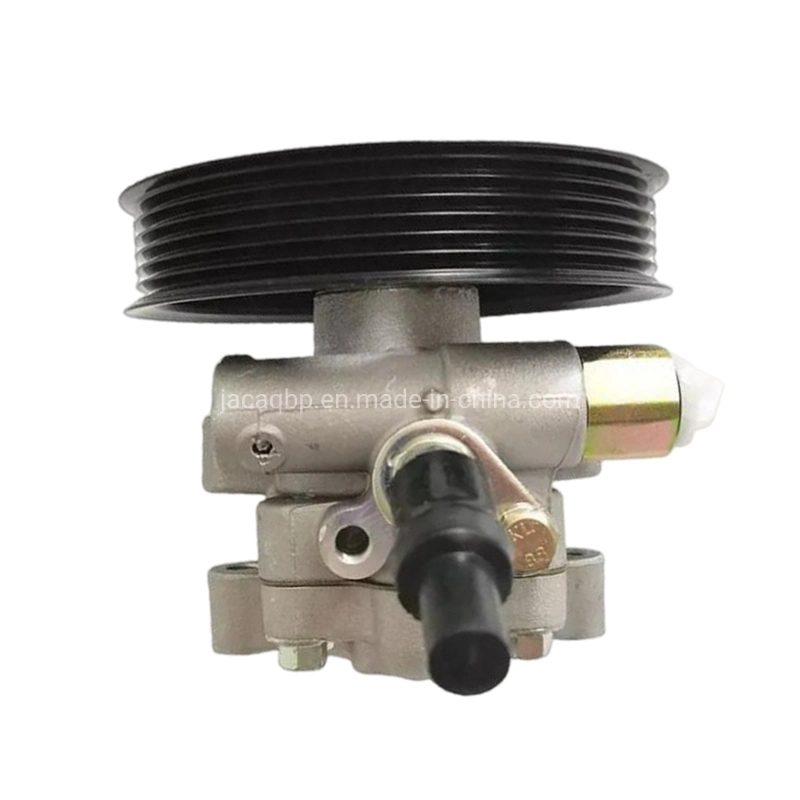 Pompe de direction assistée du système de direction assistée pour SAIC Maxus V80 OEM C00001264