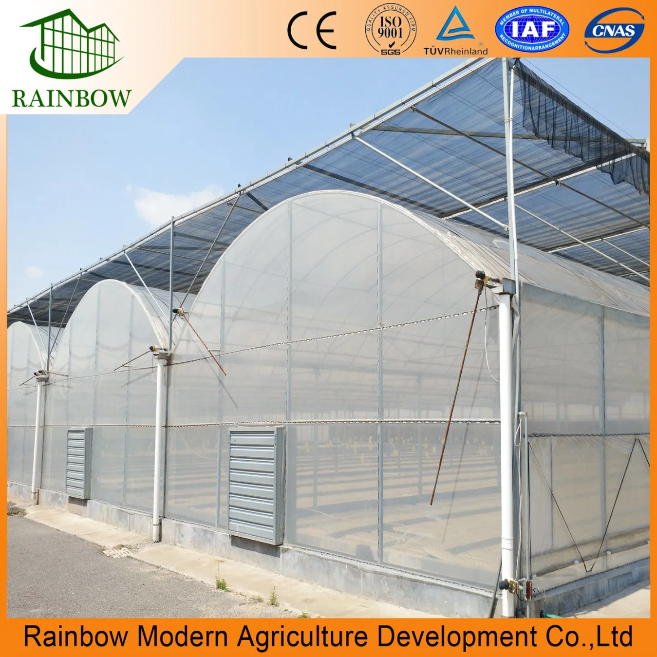 Multi-Span Arch Type Tunnel Film Agricultural Greenhouse with Hydroponics System