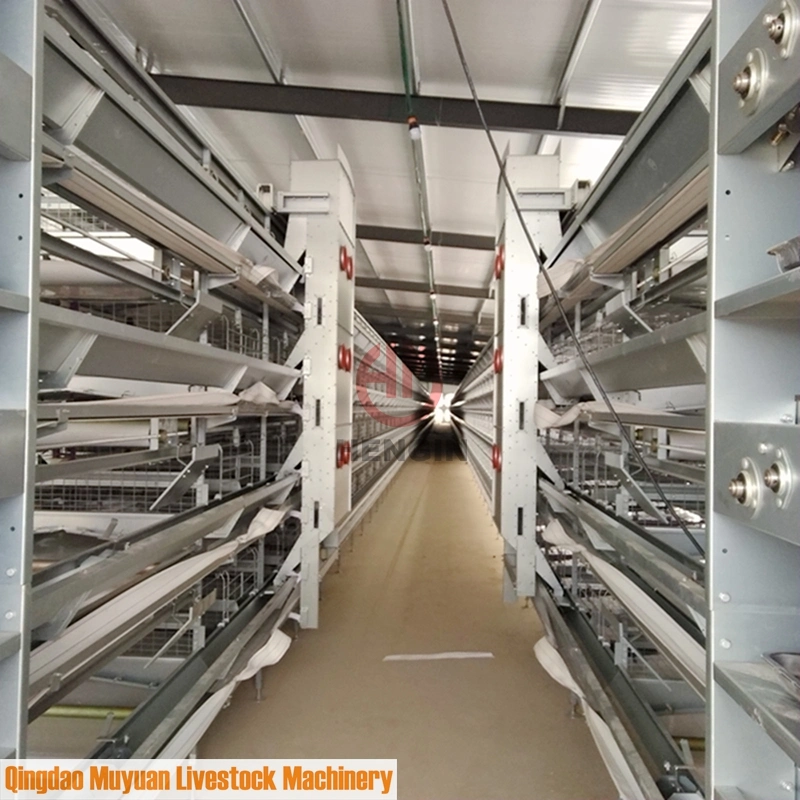 Poultry Farm Livestock Machinery for Chicken Layer House