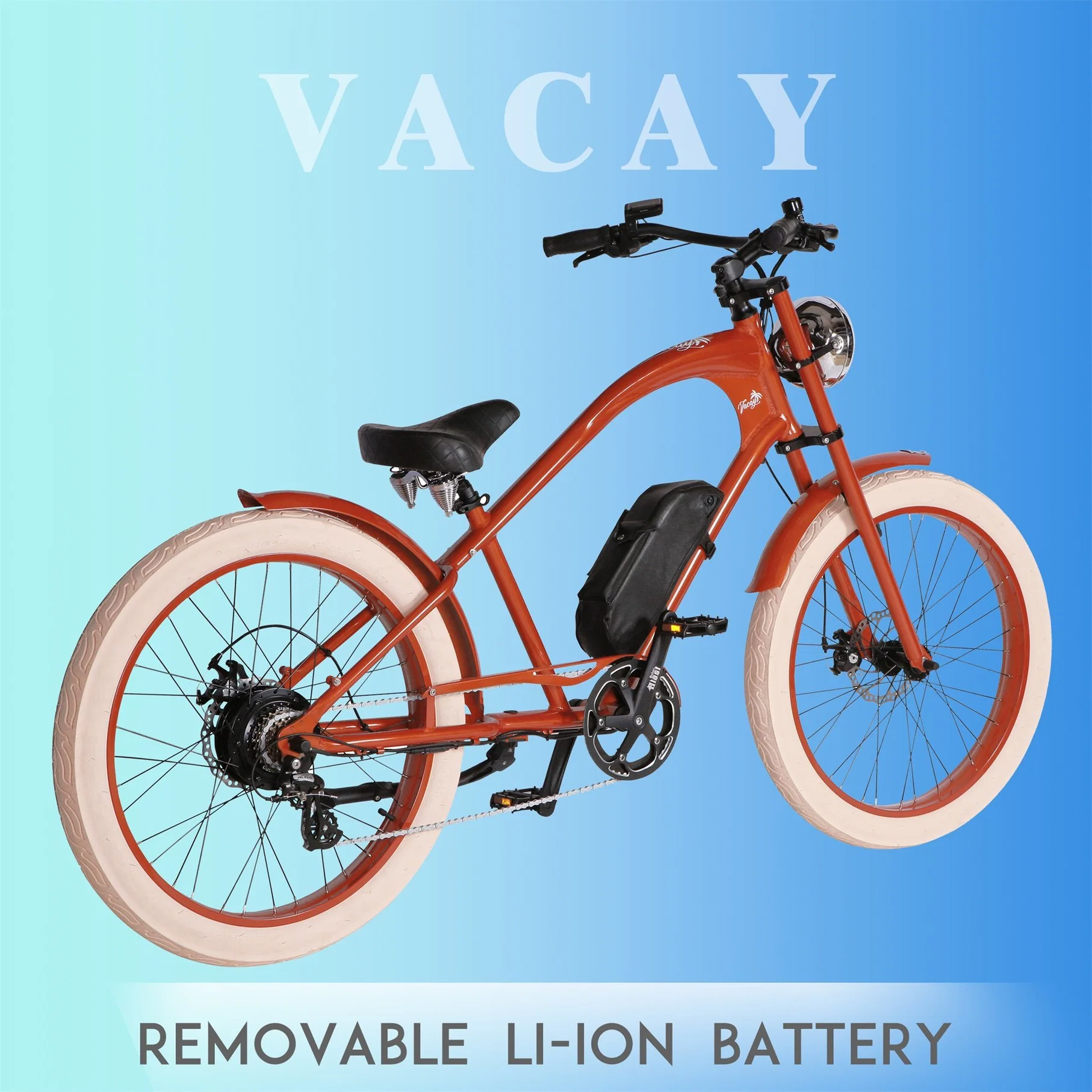 Europe Top Selling Electric Bike with CE / En15194 36V Li Ion Battery Removable Lithium Battery