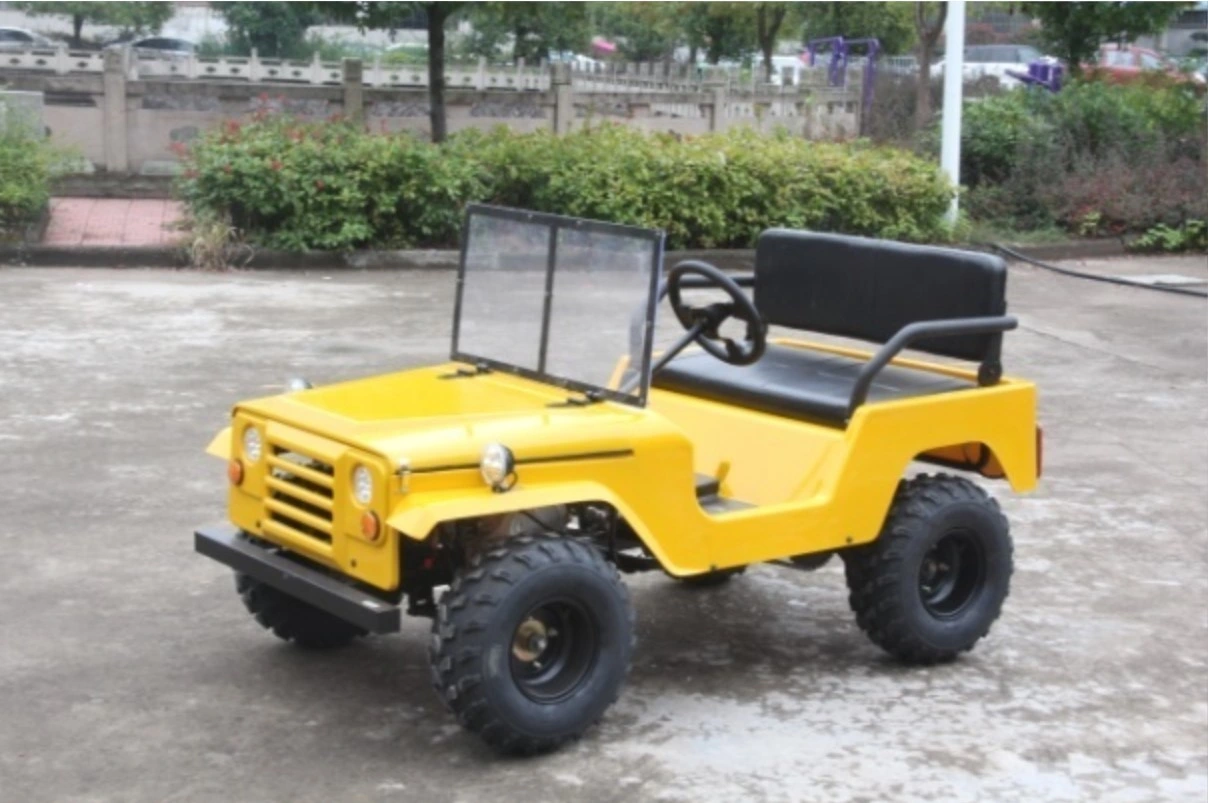 Original Factory 110CCC/125cc/150cc Quad Bike Mini Jeep