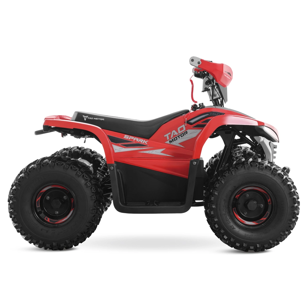 2023 New Battery Power ATV Quad Bike Dune Buggy Electric ATV