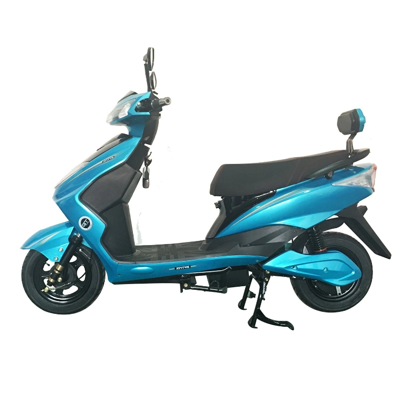 Electric Scooter Electric Motorcycle with Lead Acid Battery 800W Motorbike