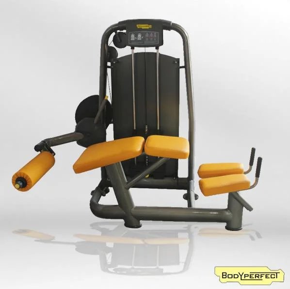 Leg Curl Medical Care Rehabilitation Equipment for Sale (BFT-2049B)