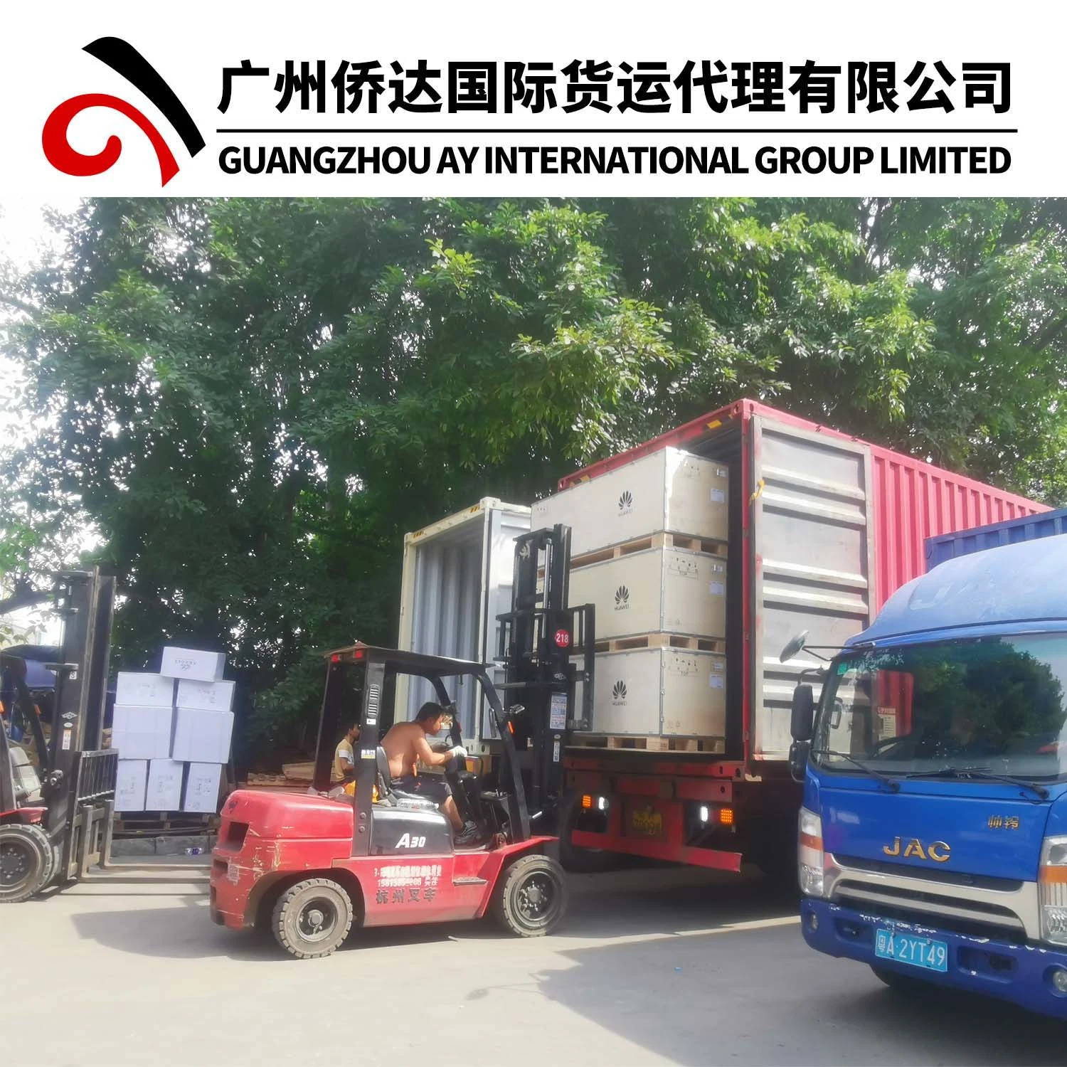 One-Stop FCL/LCL Shipping Company with Cheap Rate From Guangzhou Shenzhen Shanghai Ningbo Qingdao China to Lagos/Tema/Cotonou/Lome/Algiers by Sea