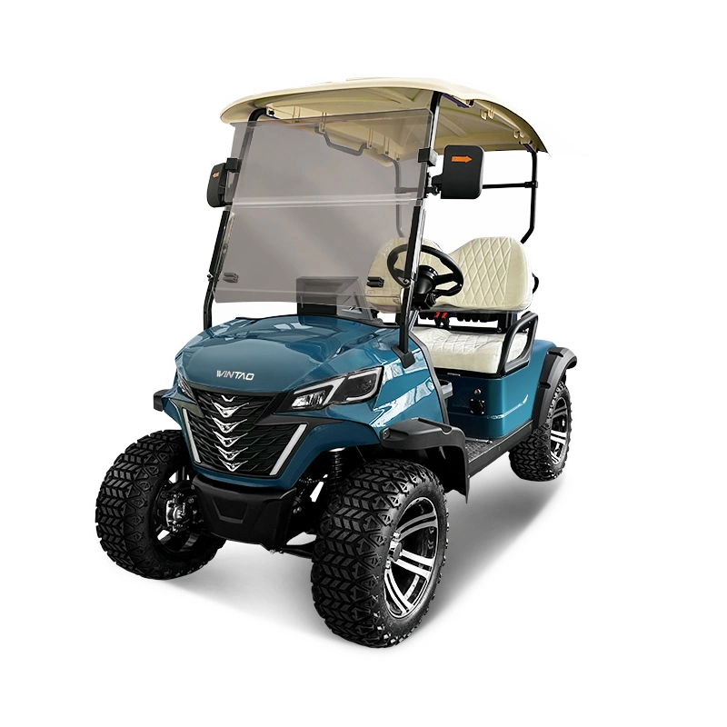 Wintao Customized Electric Golf Car for 2 Passenger Transport