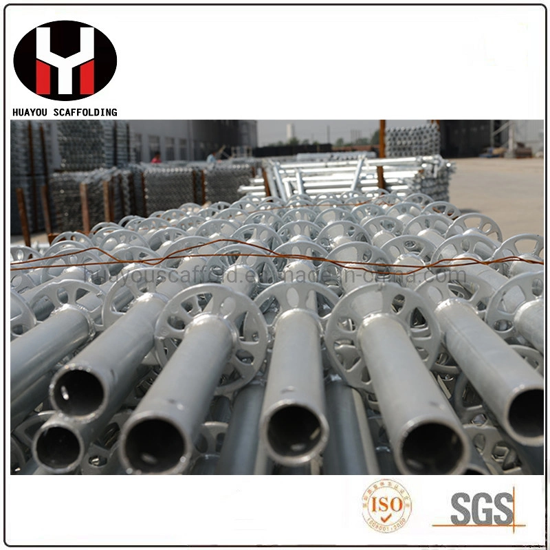 Caliente sumergido Galvanized Ringlock System Scaffolding Ringlock Rosette para América Mercado