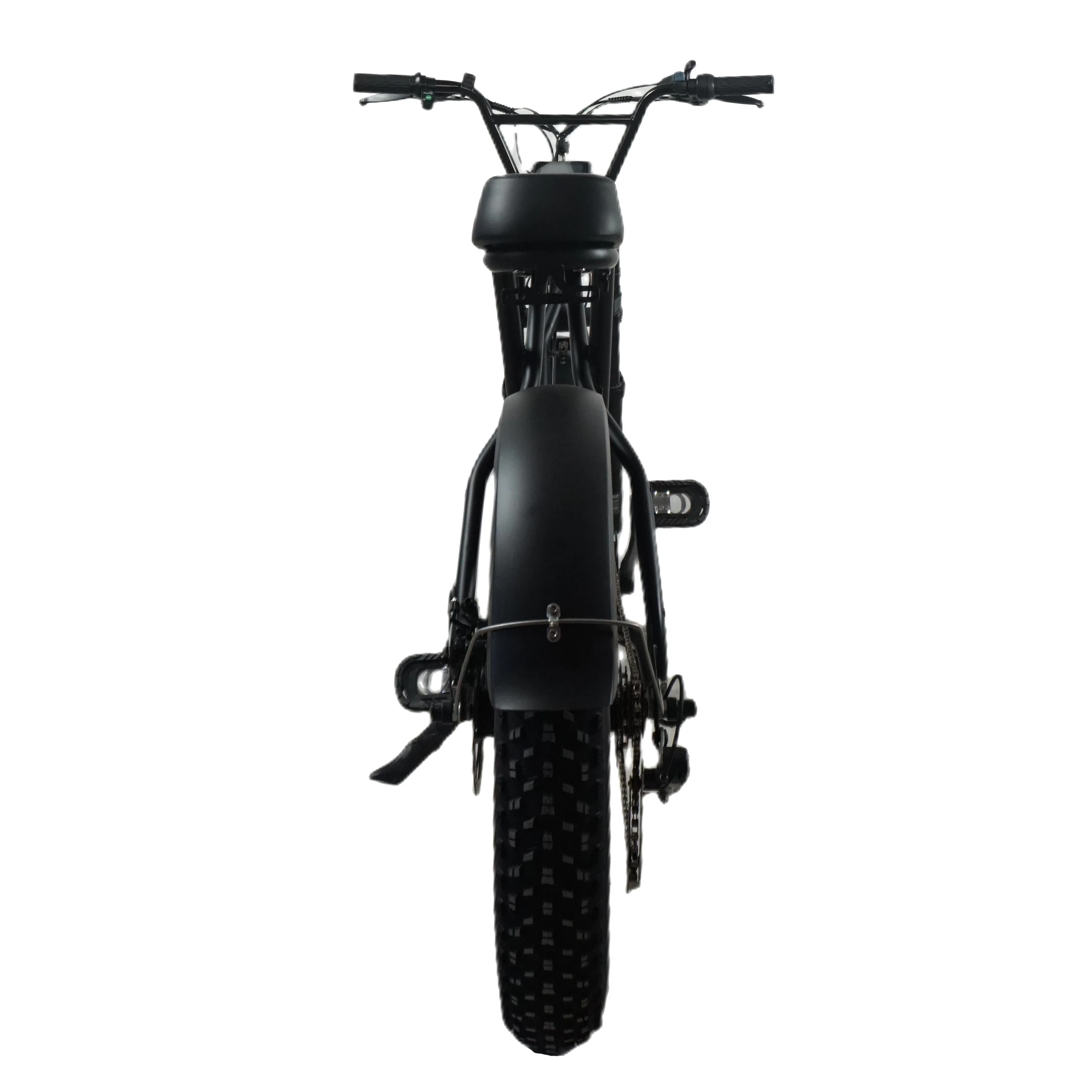 Fat Tire New Design 48V 750W Scooter Disc Brake Electric Bike