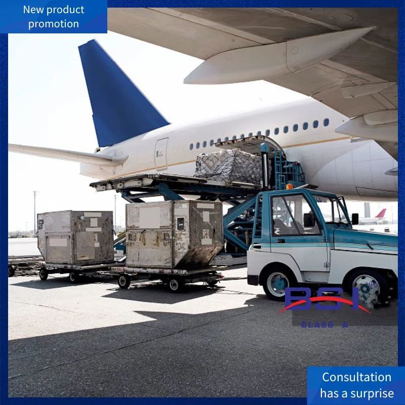 1688 From Shenzhen International Freight Logistics Air Freight to New York, USA Business/Personal Address Freight Price Air/Sea DDP EXW