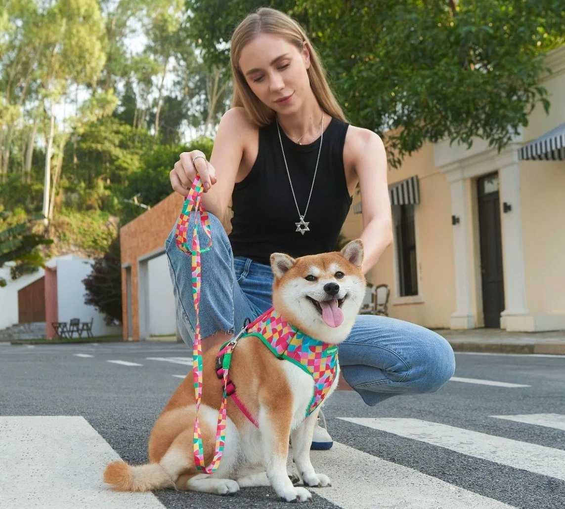 Malla transpirable de aire ajustable arnés para perros con opciones personalizables