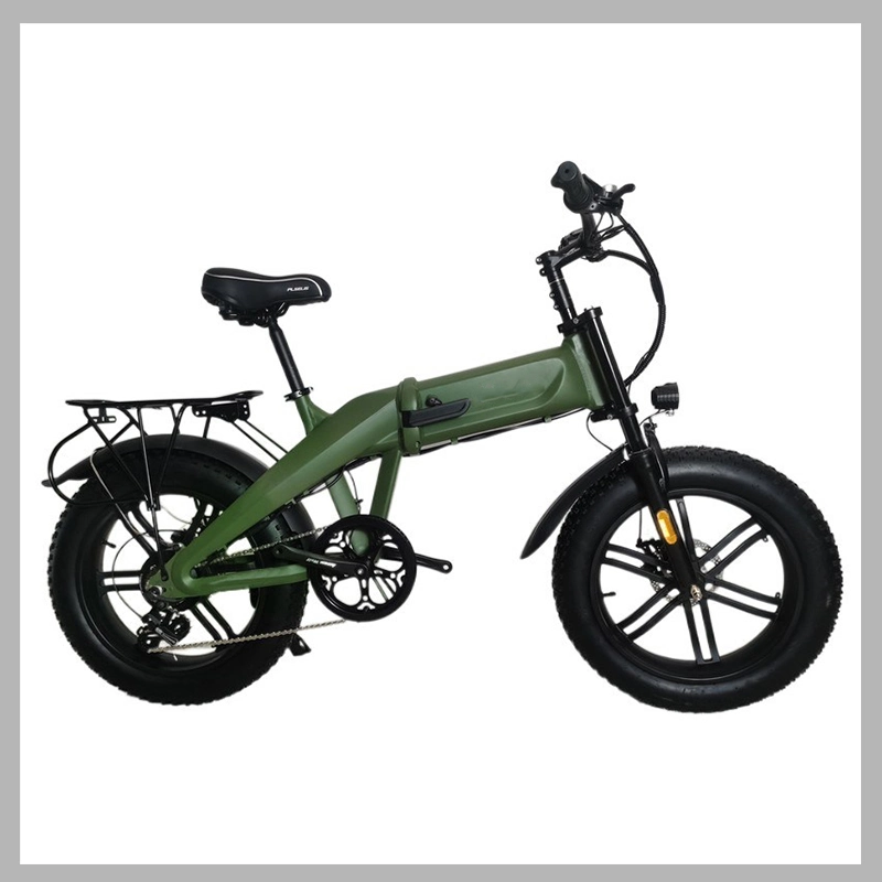 ODM High Power Retro Electric Bicycle/Fat Tire E Bike Whit LED Display