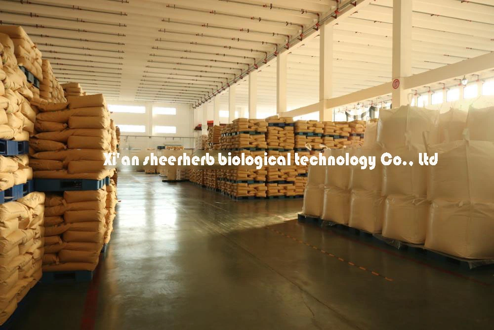 Best Thickener Algin Wholesale/Supplier Sodium Alginate