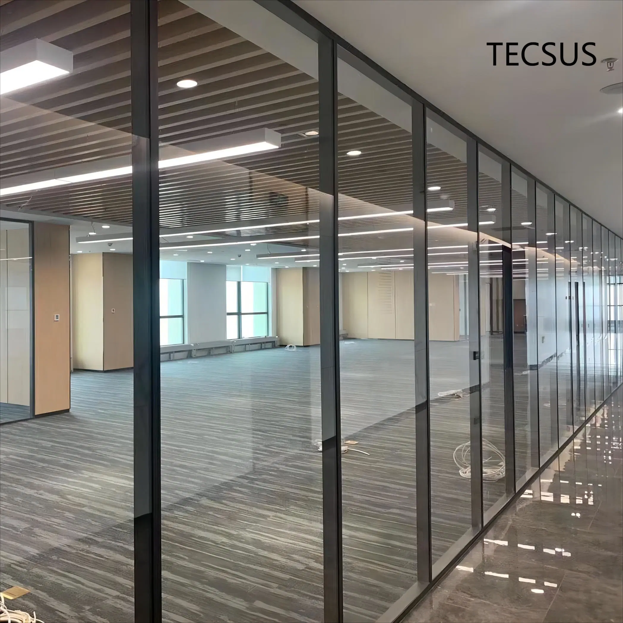 Manufacturer Price Office Glass Partition Wall for Room Devider with ISO (TECSUS 80 series)