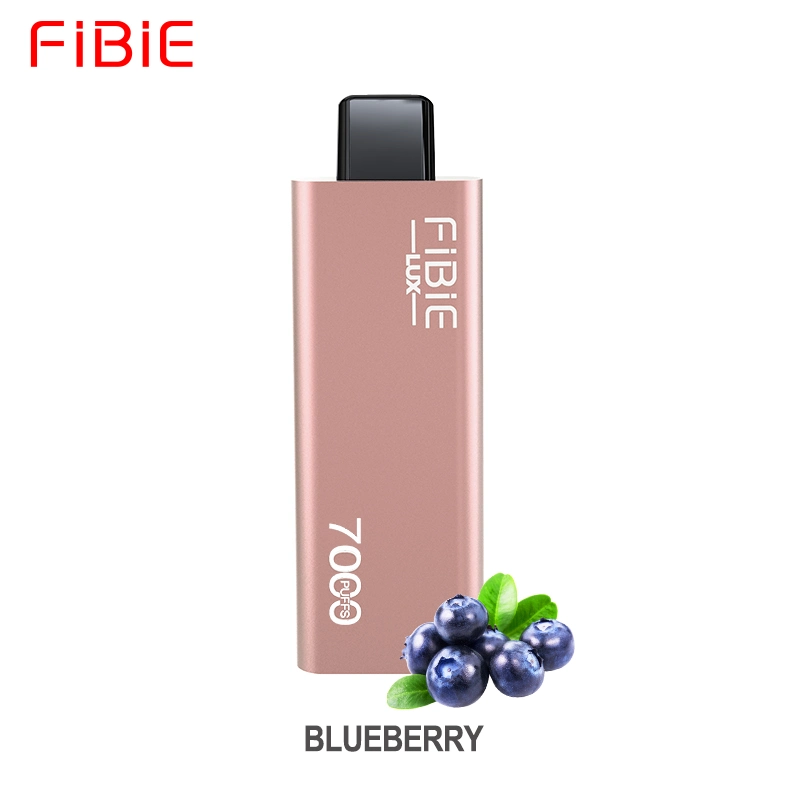 Wholesale/Supplier Curve Slick Fibie Lux E Cig 7000 Puff Vaper Mini Electronic Cigarette Rechargeable Germany Best Price Wape Eshisha Randm Disposable/Chargeable Vapes E Cig