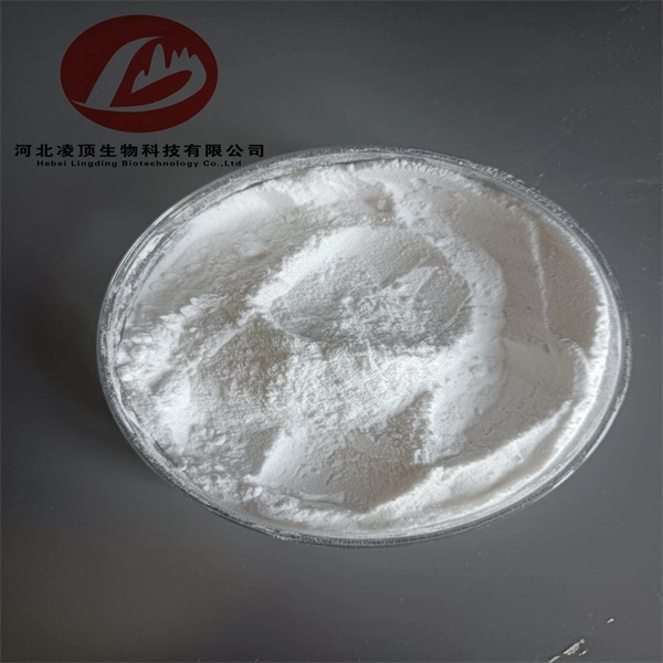 Hot Selling High quality/High cost performance  Adenosine 5&prime; -Triphosphate Disodium Salt CAS No. 987-65-5