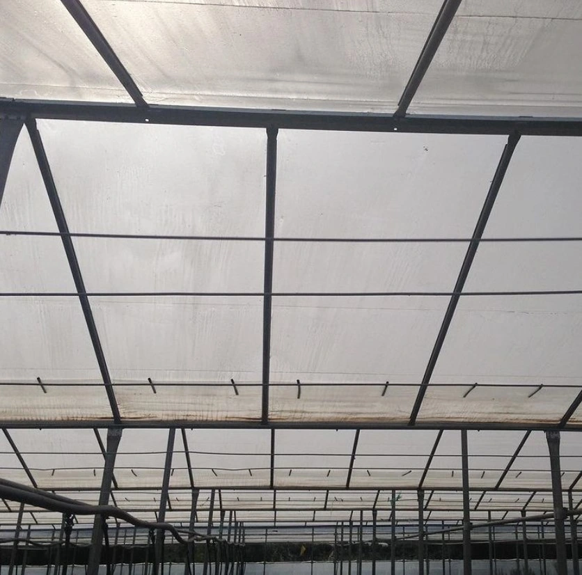 Double Layer Plastic Film Greenhouse Heat Resistant Film for Greenhouses Anti Drip Woven Greenhouse Film Polycarbonate Plastic