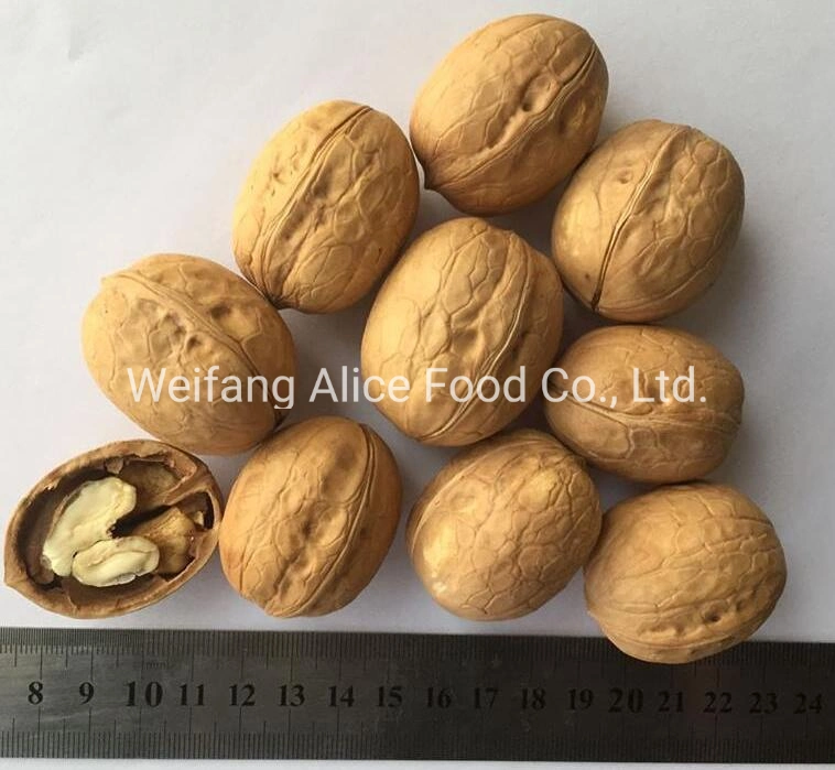 China Wholesale/Supplier New Crop Size 28mm/30mm/32mm up Easy Cracked Walnut in Shell