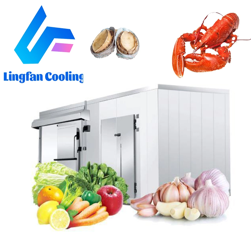 China Fabricación Baja temperatura Puertas dobles plegables vacuna contra el refrigerador Congelador