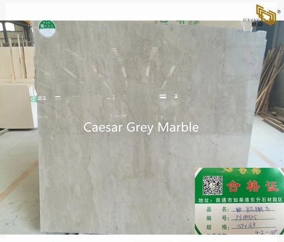 Stone Slab Floor/Wall Tile Worktop/Countertop/Vanitytop Marble for Kitchen/Bathroom Building Stone Supplier