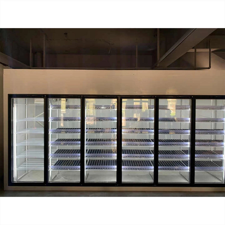 Display Cold Room Walk in Cooler Cold Room with Visible Glass Doors