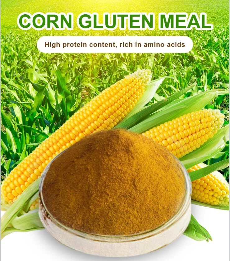 Competitive Price of Corn Gluten Meal 60% Feed Grade