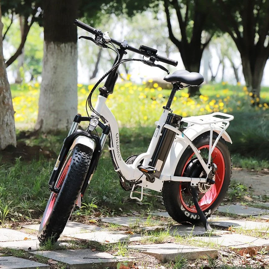 China fábrica de 20 pulgadas neumático Fat plegado 4.0 Bicicleta eléctrica 48 V/500W Ebike adultos