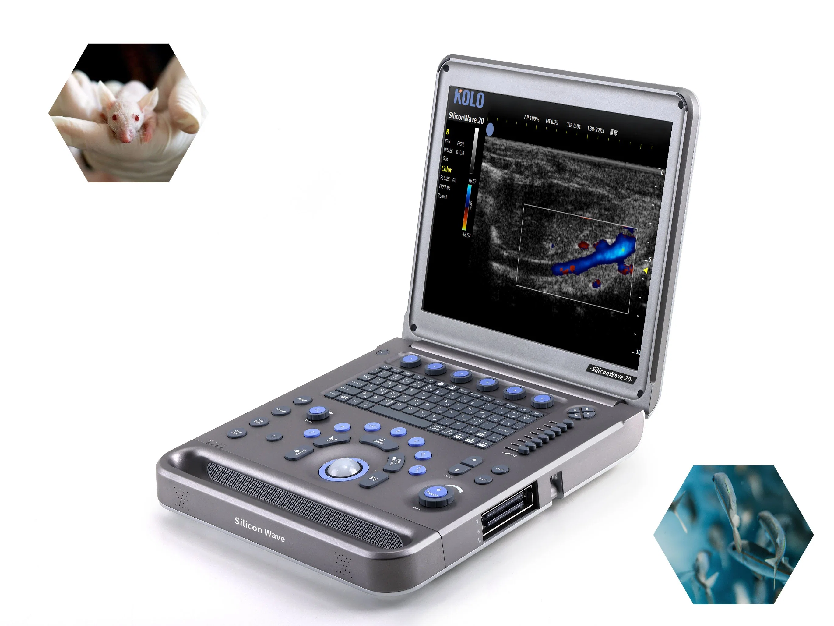 Pw Doppler Mode Portable Ultrasound Scanner for Lab Animals