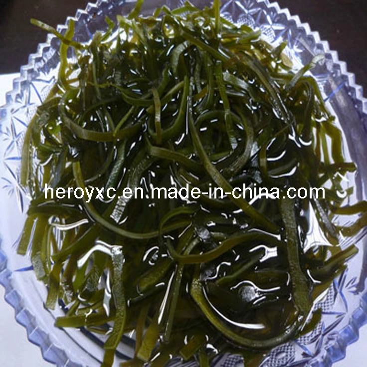 Getrocknetes Schnitt-Kelp (Strandkohl, Meerespflanze, Laminaria japonica)