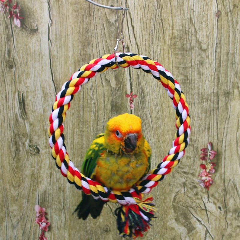 Pet Bird Toys Round Circle Rings