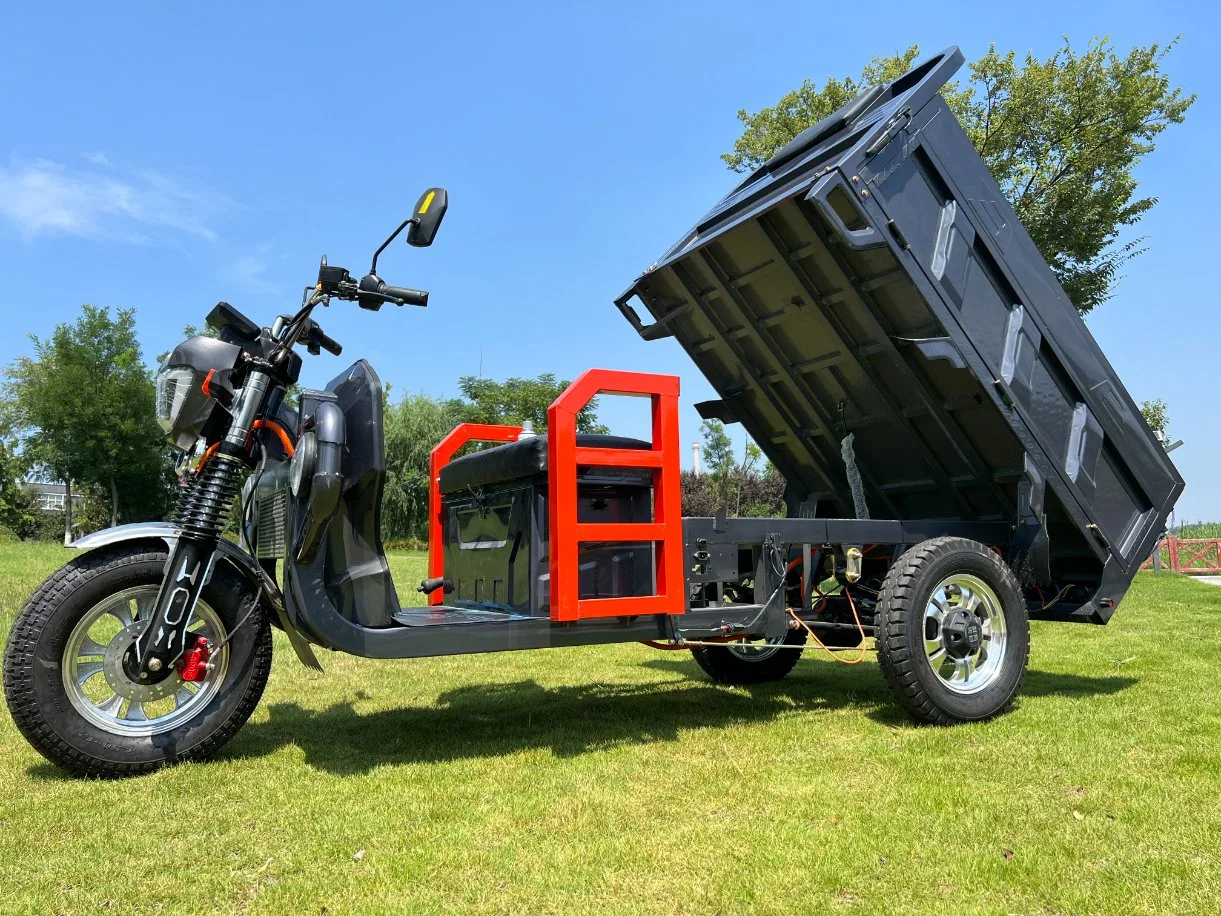 Tricycles électriques bon marché pour le marché de l'Asie centrale. Moto à trois roues avec cargaison à trois roues. Vélo électrique à trois roues.