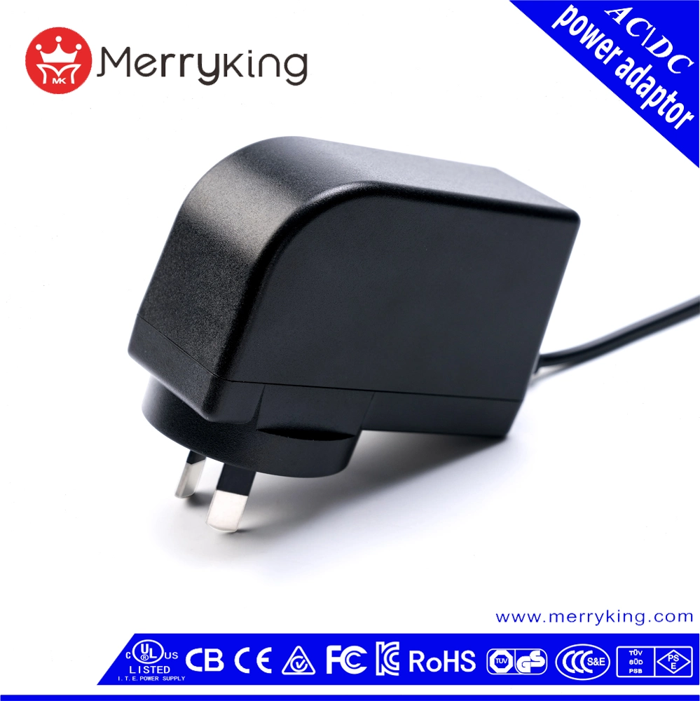 SAA Rcm Approved AC DC Adapter 24V 400mA 1A AC Power Supply Adaptor with Au Plug