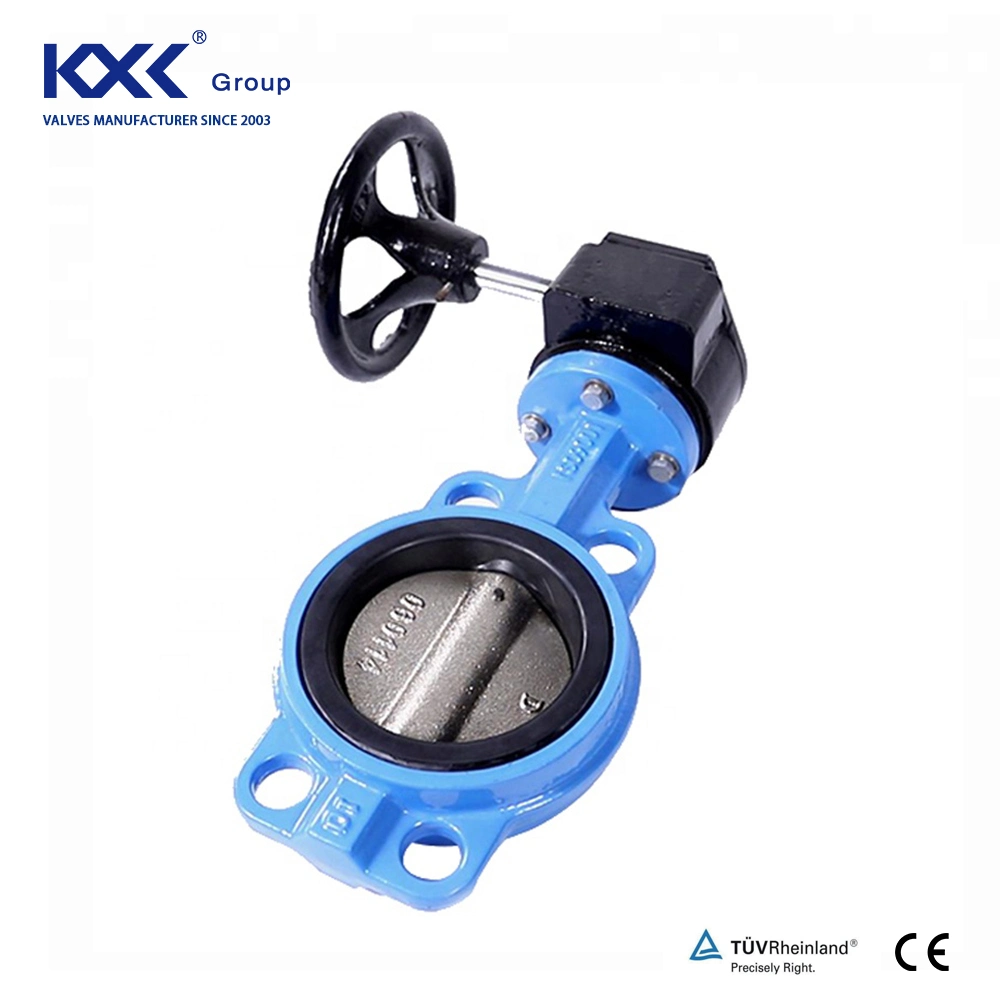 Soft Seat Ductile Cast Iron Gate Valve/Check Valve/Butterfly Valve