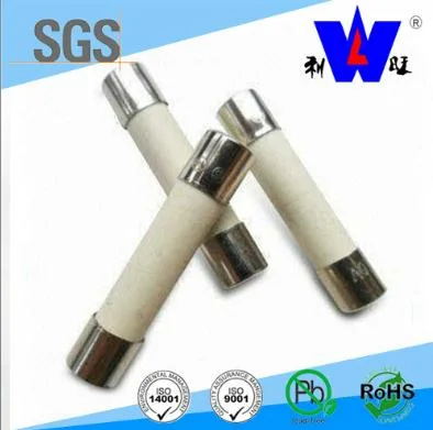 High quality/High cost performance  Low Voltage Resisitor DC Auto Thermal Fuse