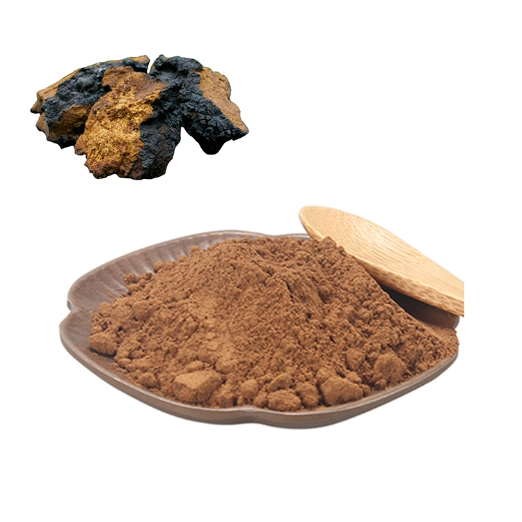 Organic Inonotus Obliquus Mushroom Fruiting Body Powder Chaga Mushroom Extract Chaga Extract Powder Water Soluble