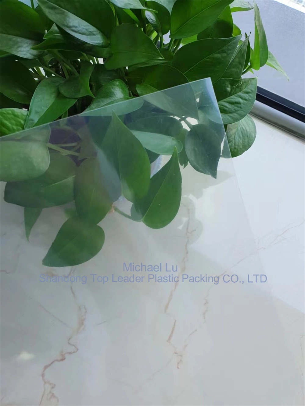 0.25mm PA/PE Multilayer Co-Extruded Film/Vacuum Thermoforming Bottom Film