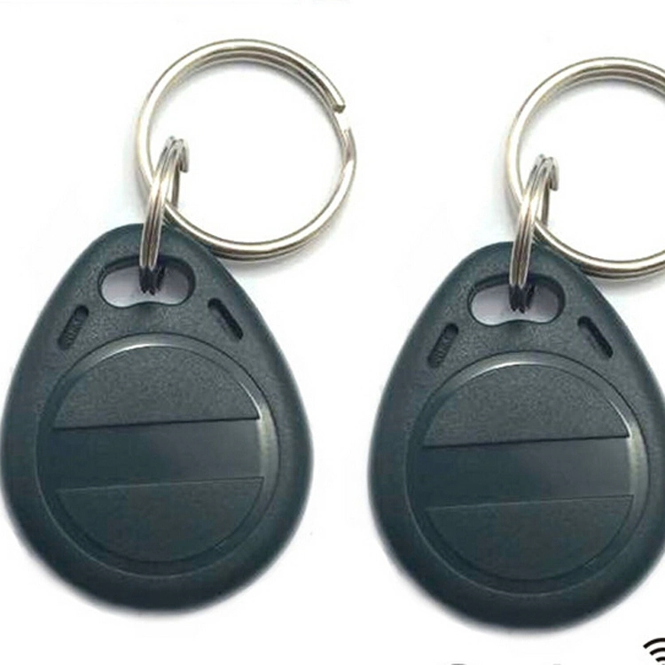 Black Key Fob 125 Dual Frequency Key Fob Key Fob Home