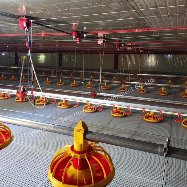 Automatic Chicken Farm Feeding System Broiler Poultry Farm Equipment for Sale