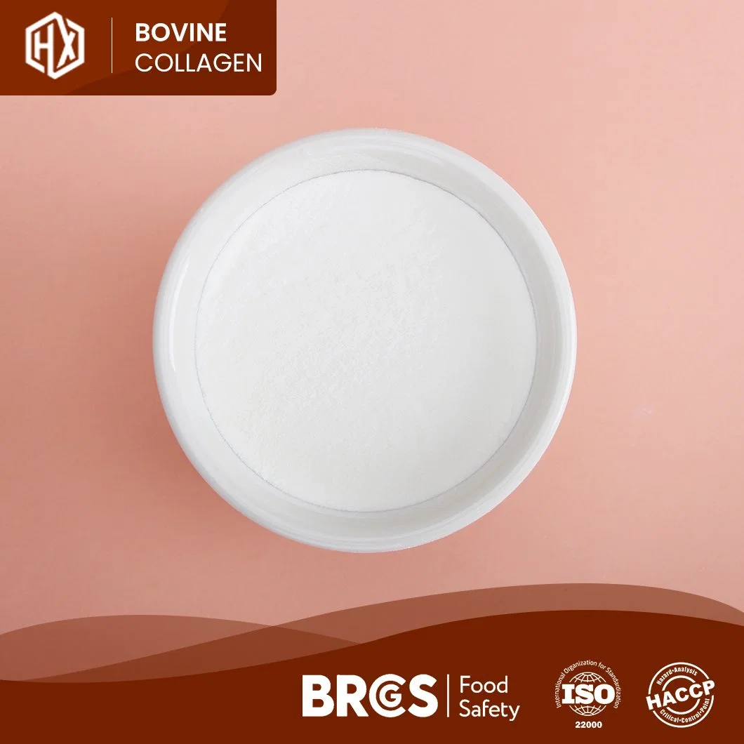 Haoxiang Bulk Pure Natural 90% Protein Powder Food Grade Bovine Skin Collagen Powder China Manufacturers High-Purity Hydrolyzed Bovine Hide Collagen Peptides