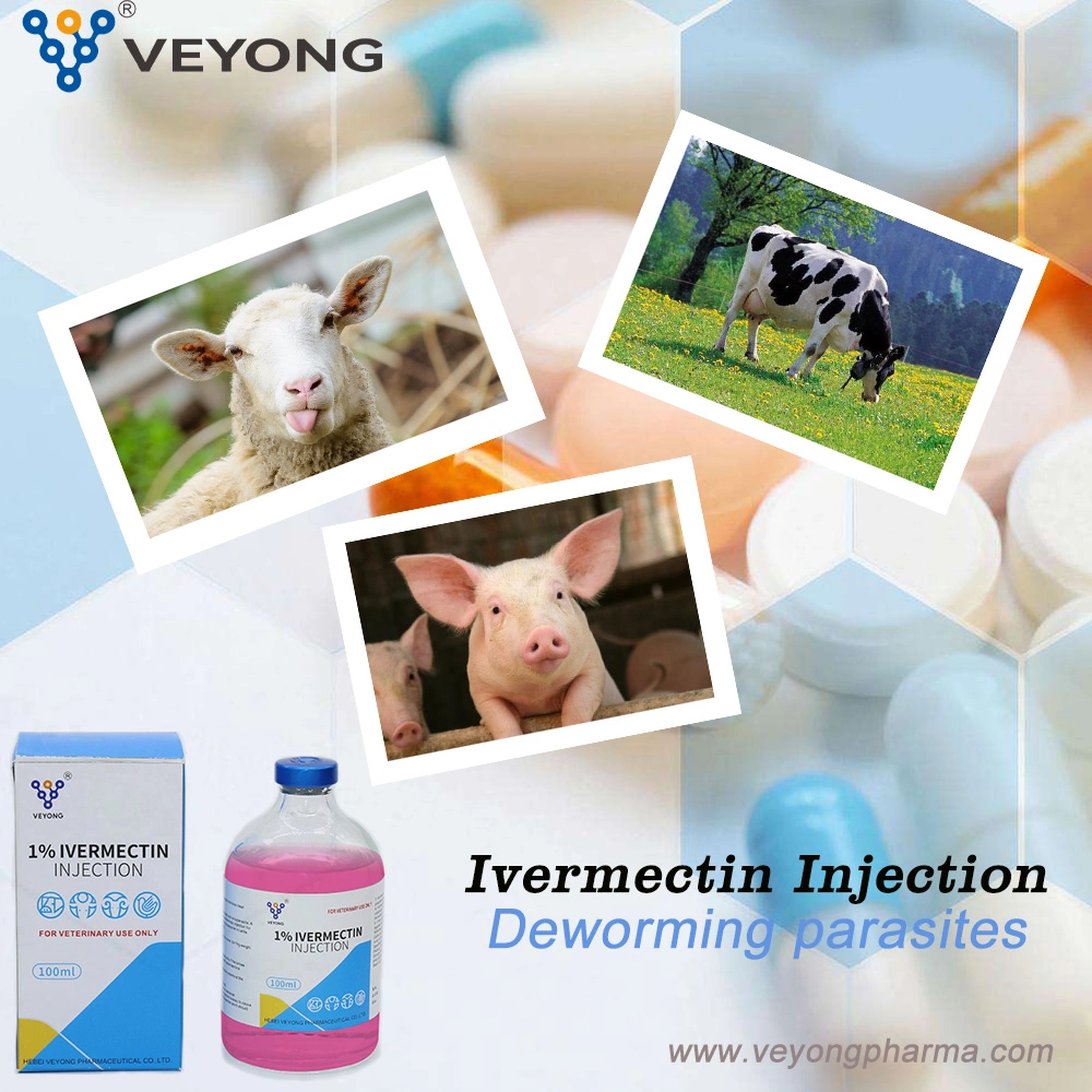 Farmceutical Factory Supply Veterinary Medicine Drug Ep USP Ivermectin Injection con GMP, Cos, FDA for Cattle CAS 88-86-7702