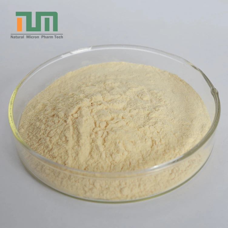 CAS 9072-19-9 Laminaria Extract Fucoidan