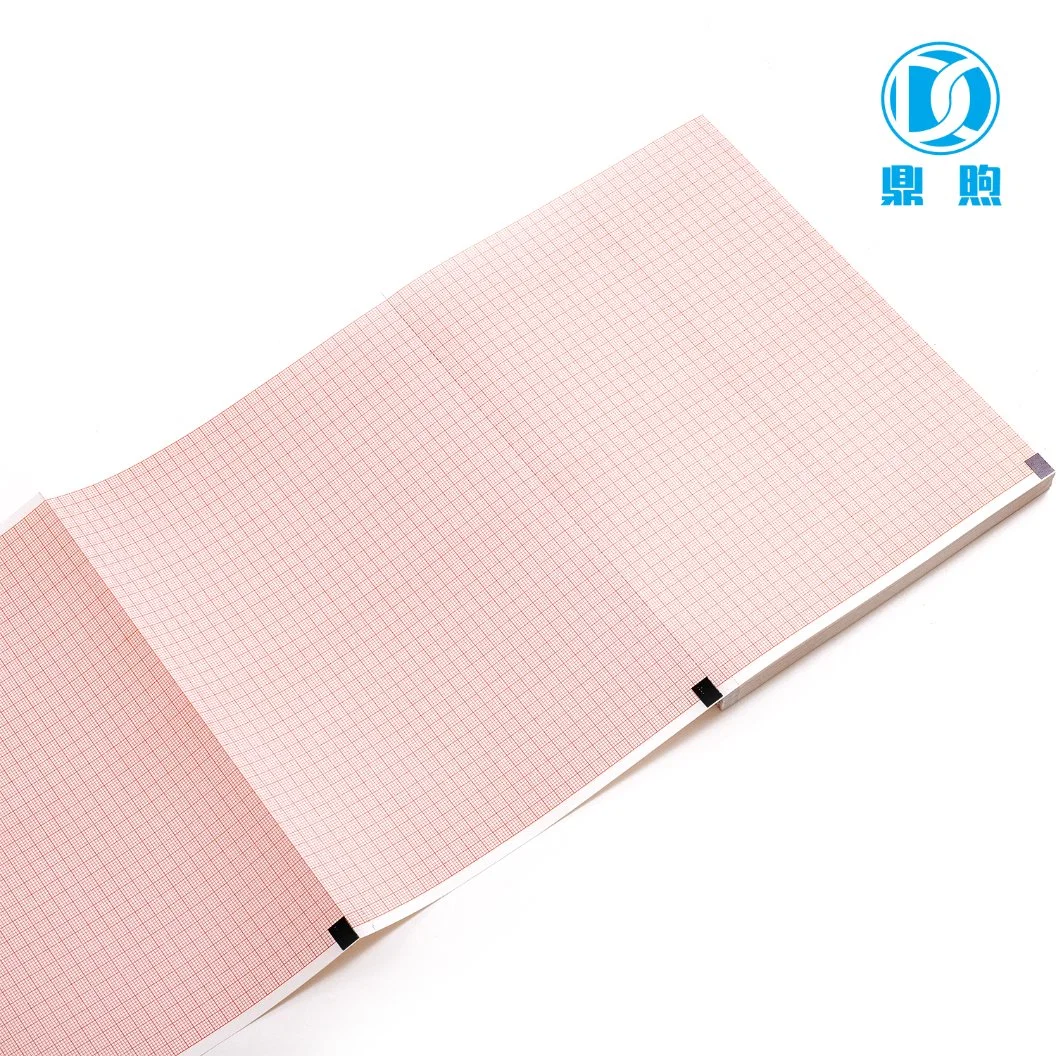 Professional Supplier Cheap Price ECG Machine Paper Roll for Medical Wholesale/Supplier