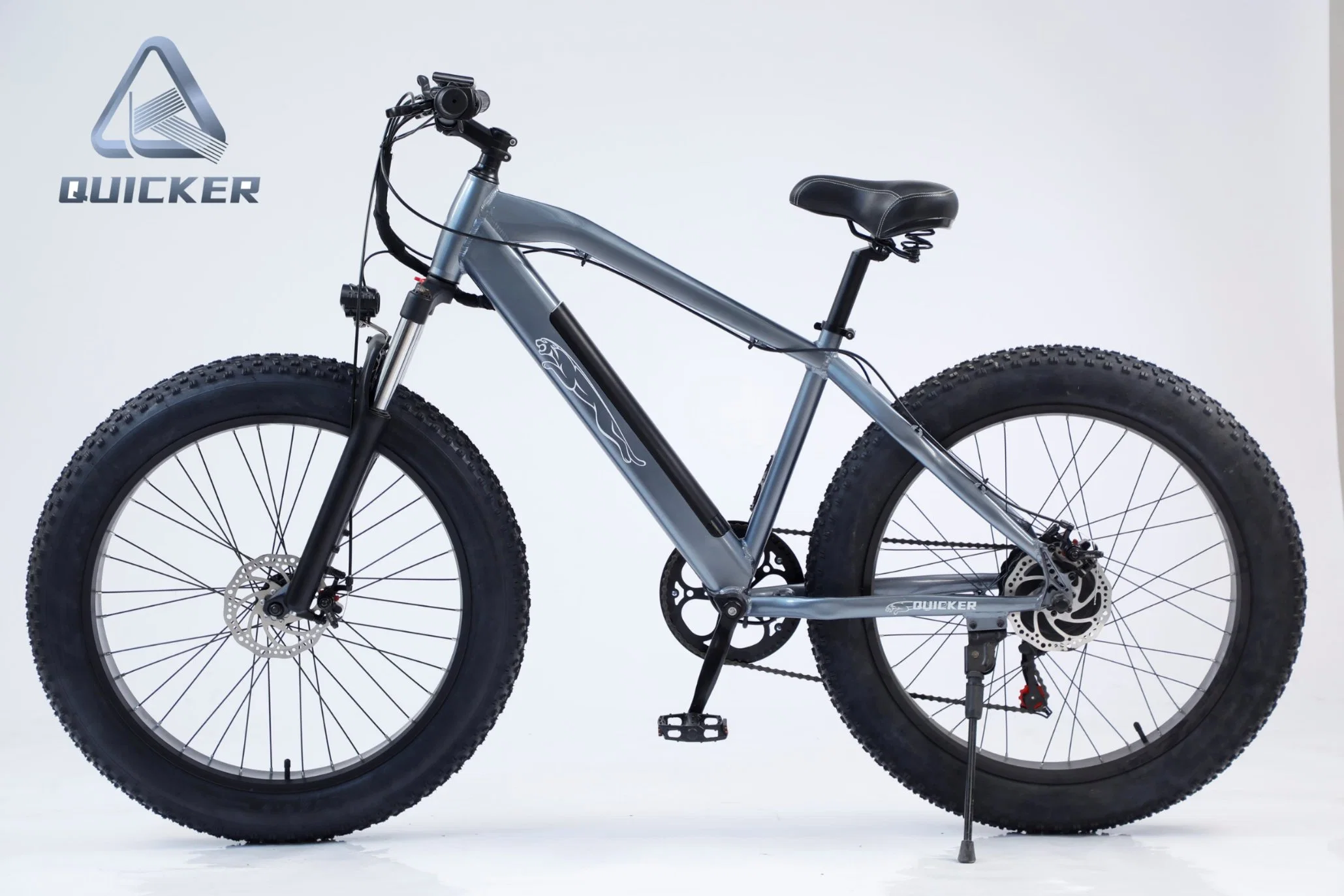 Venda de marcação Certificada 1000W gordura Motor pneumático Mountain Cruiser bicicleta eléctrica