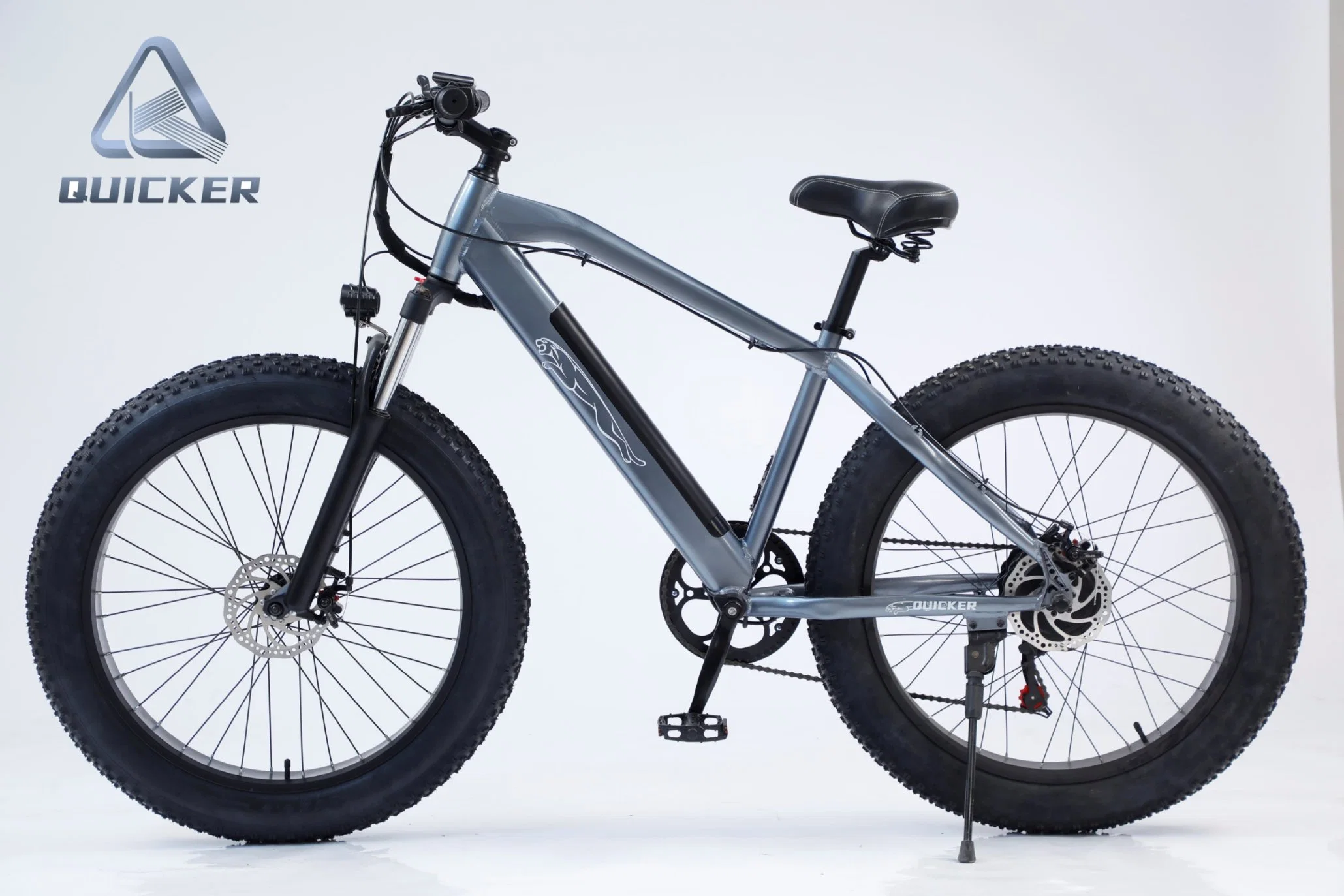 Selling CE Certificated 1000W Motor Fat Tire Mountain Cruiser Electric Bike