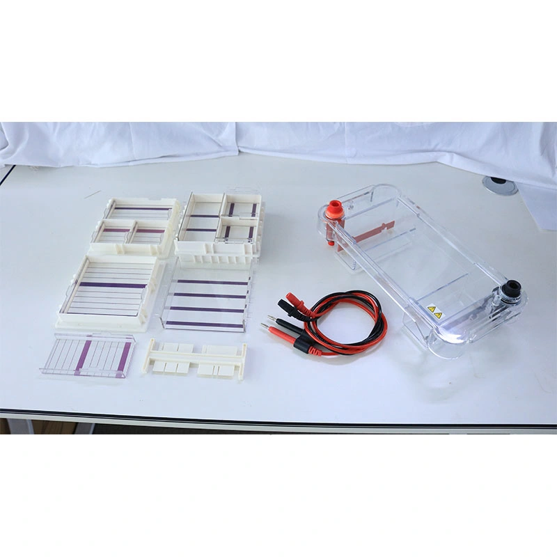 Laboratorio de la transferencia de la Electroforesis en Gel Biobase Sistema de depósito de electroforesis horizontal