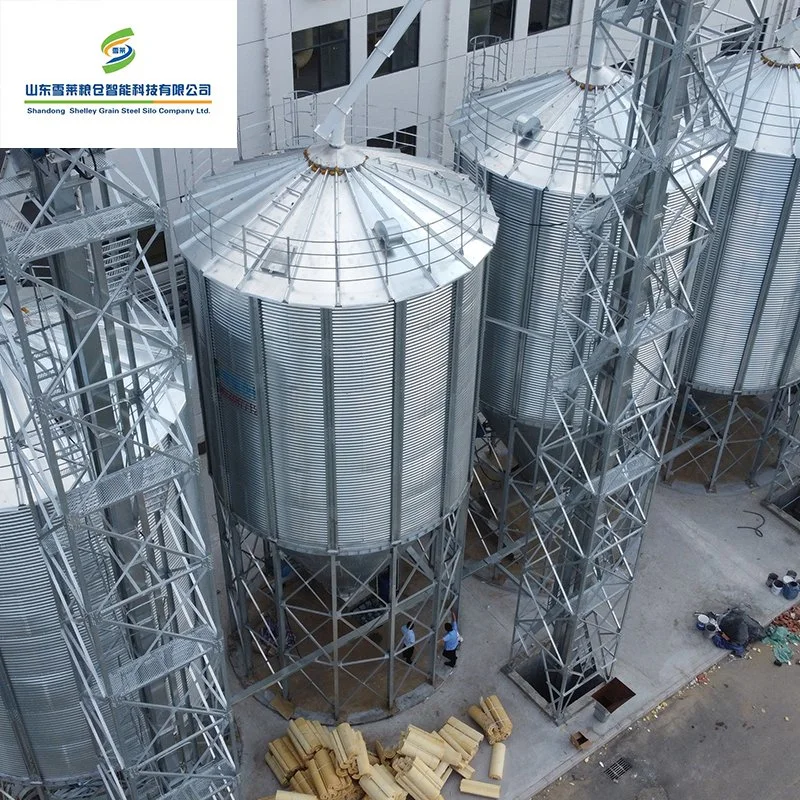 500 ~ 15000 toneladas Tolva de acero de grano de arroz cáscara de maíz para silo de almacenamiento de trigo Silos cono