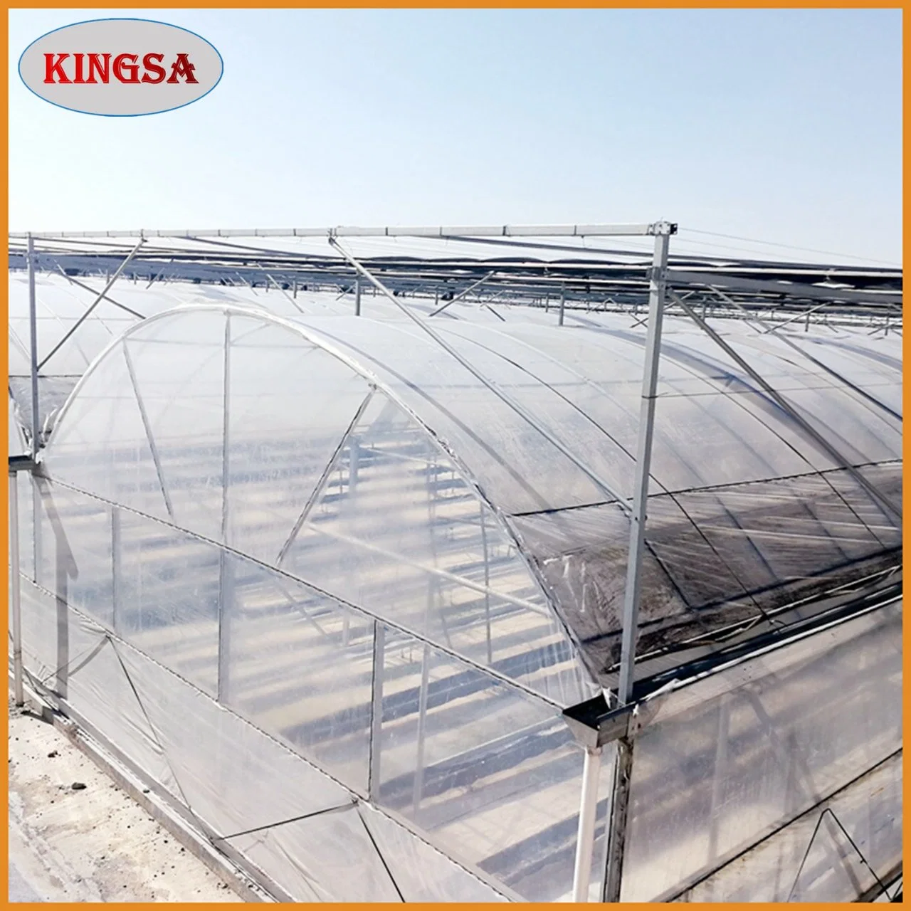 Les fabricants chinois professionnel agricole Invernadero Multi-Span Film Intelligent serre Une serre de tomates avec structure galvanisé à chaud