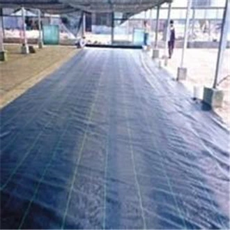 PP Woven 100g Ground Cover Fabric with SGS Test Report