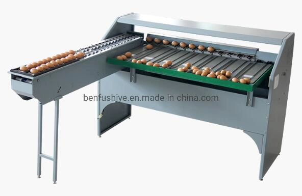 Commercial High Efficiency Commercial Stainless Steel Egg Classifier Machine Egg Grading Sorting Machine